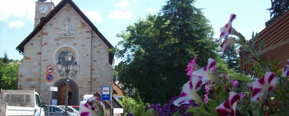 
            Фотография Коредо