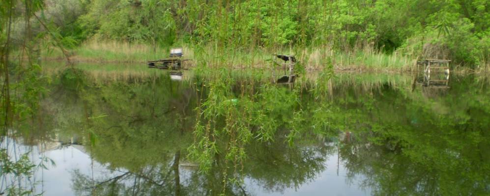 
            Фотография Новоселовки