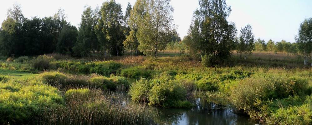 
            Фотография Говядово