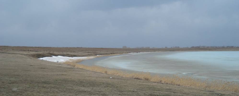 
            Фотография Алкула