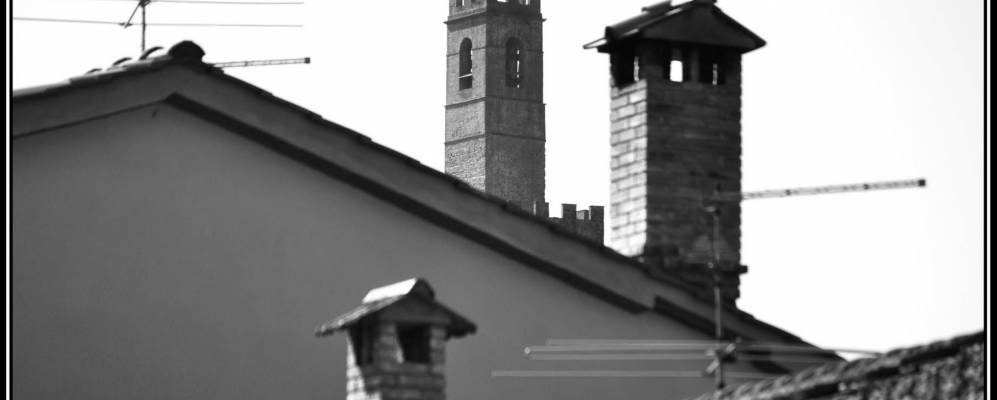 
            Фотография Поппи