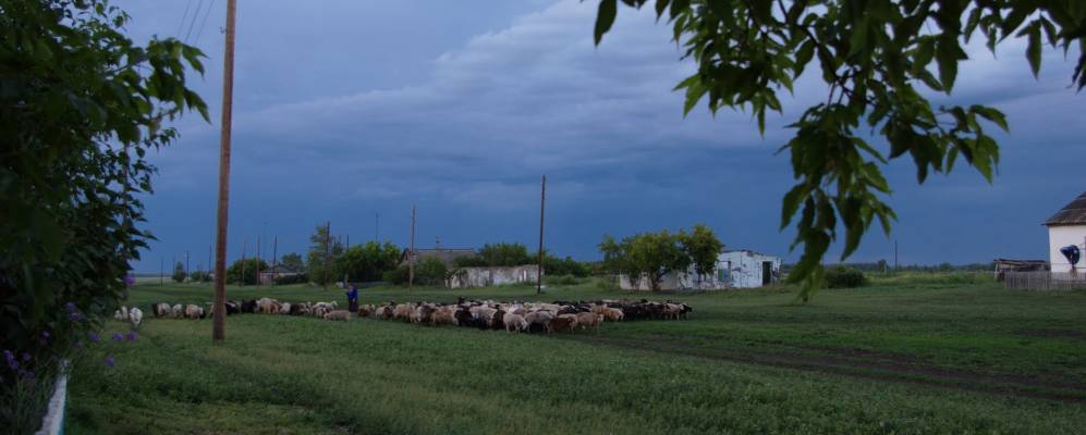 Фотография Яминки