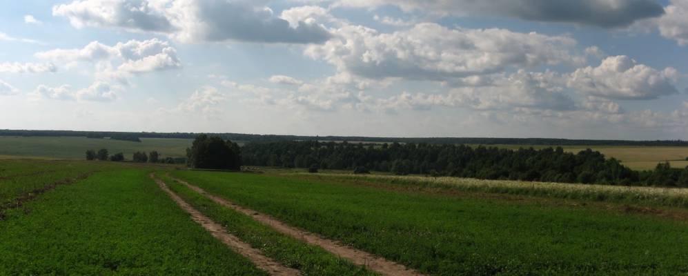 
            Фотография Усалей