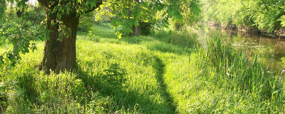 
            Фотография Красновки