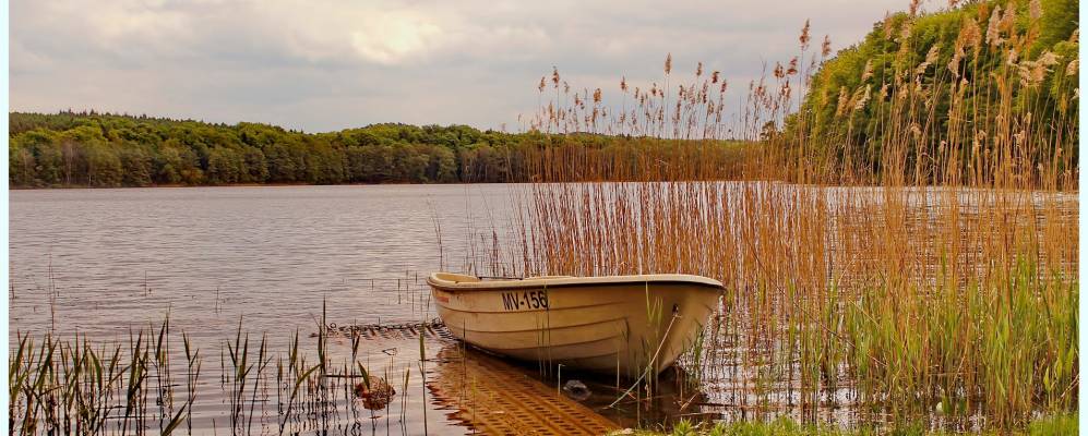
            Фотография Корсвандта
