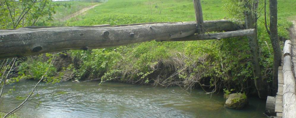 
            Фотография Михлино