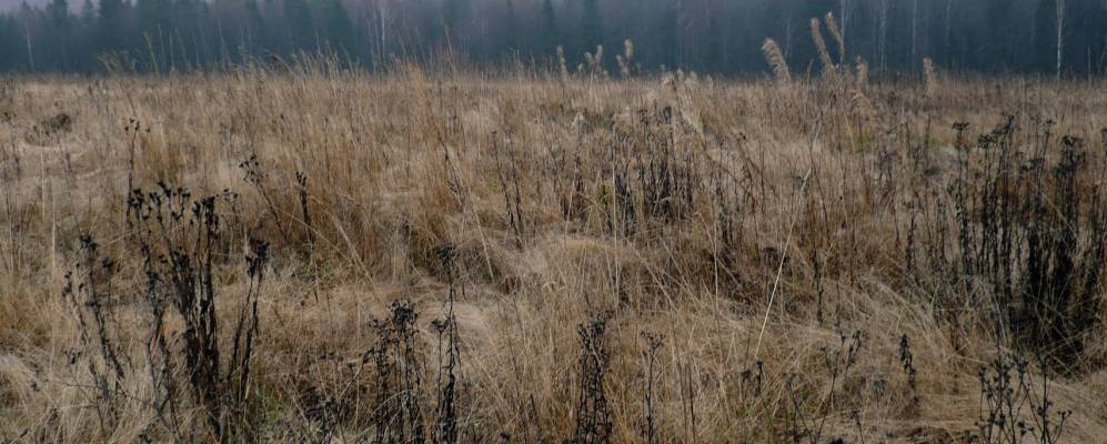 
            Фотография Калиничей