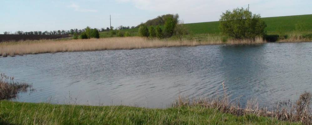 
            Фотография Марковки