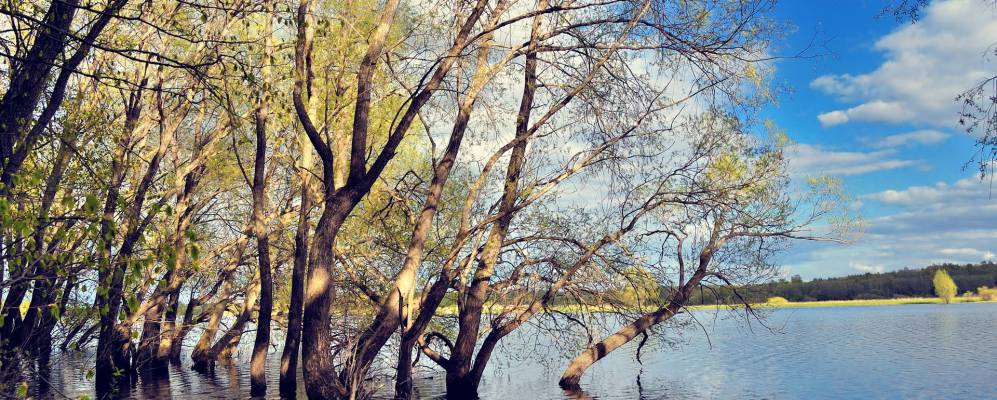 
            Фотография деревни Велебицы