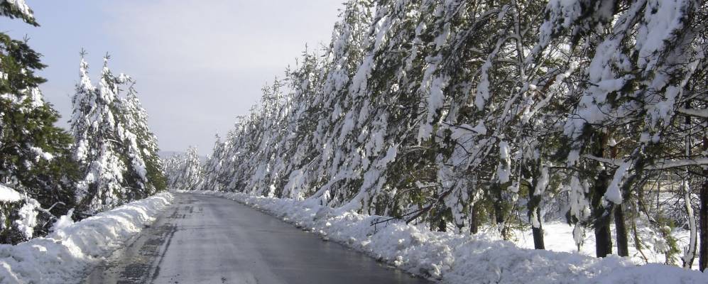 
            Фотография Дубового Ключа