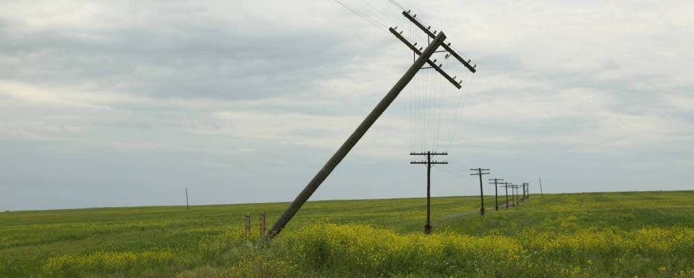 
            Фотография Лебяжьего