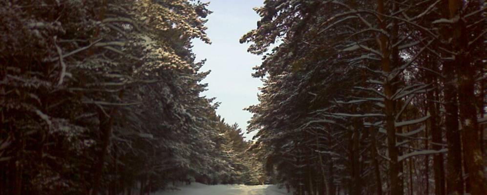 
            Фотография Нарыма