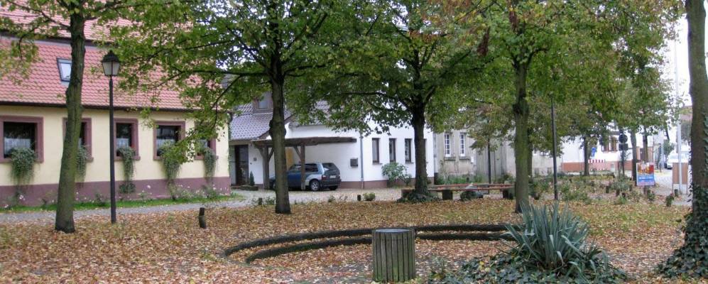 
            Фотография Швегенхайма