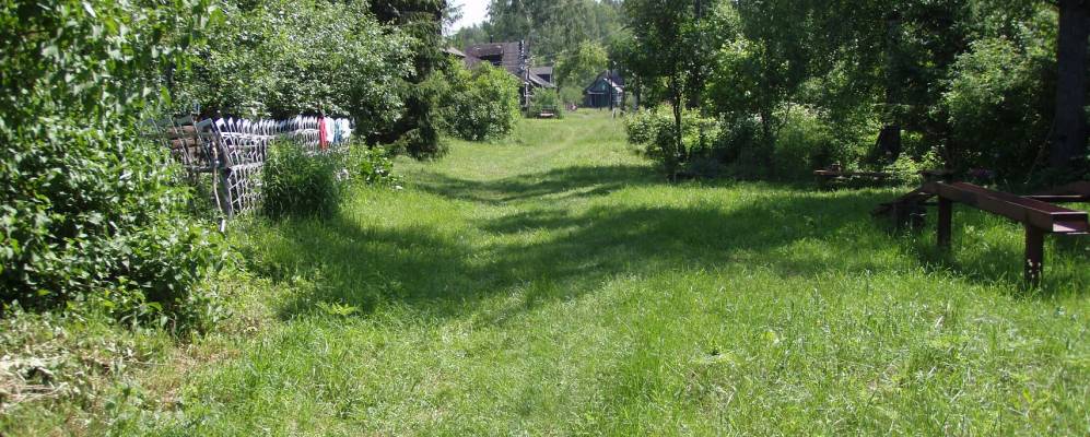 
            Фотография Яришного