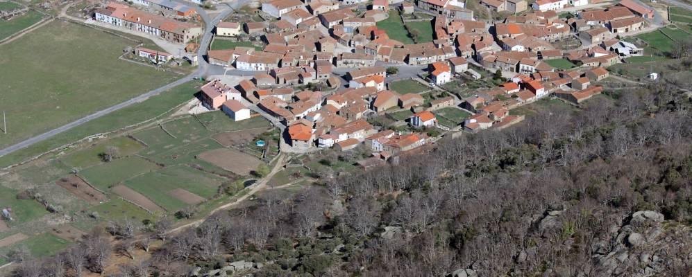 
            Фотография Нейла-де-Сан-Мигель