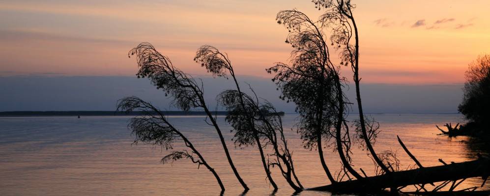 
            Фотография Васильевского