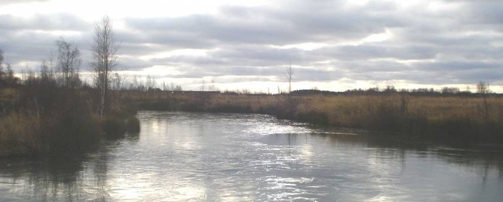 Фотография Ярышкино