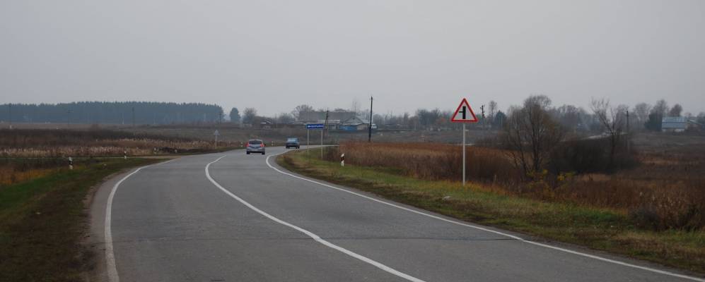 Фотография Камышевки