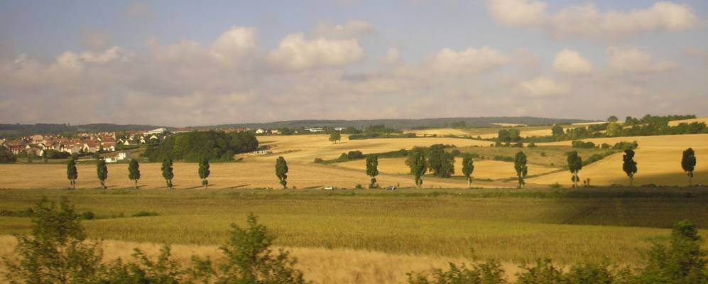 
            Фотография Обержанвиль