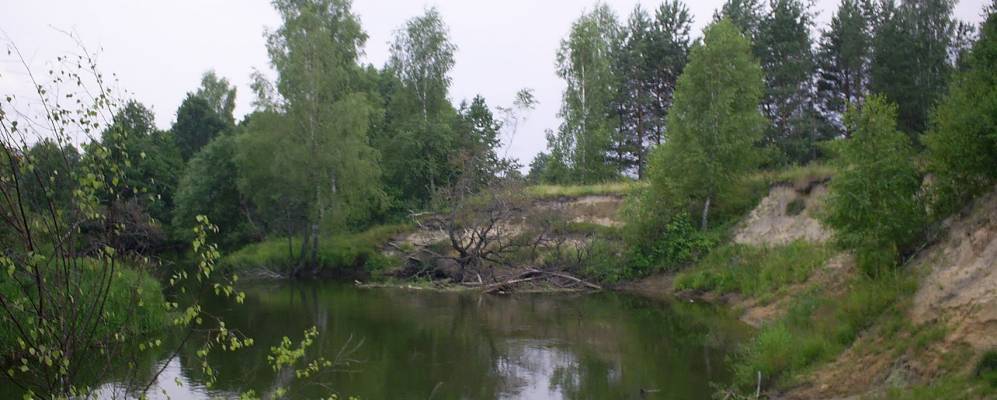 Фотография деревни Пильшичи