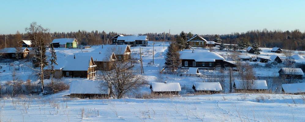 
            Фотография Лимоново