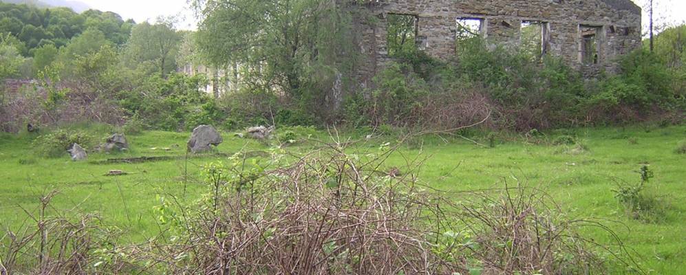 
            Фотография Лесоучастока Папай