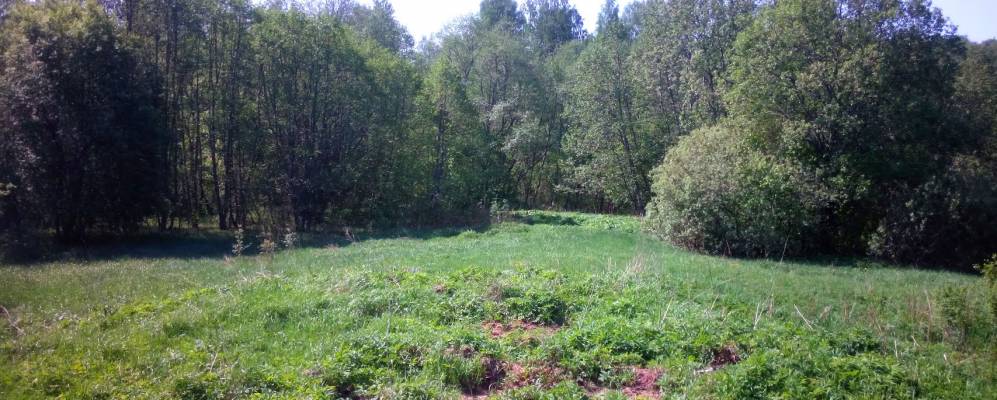 
            Фотография Бели-2