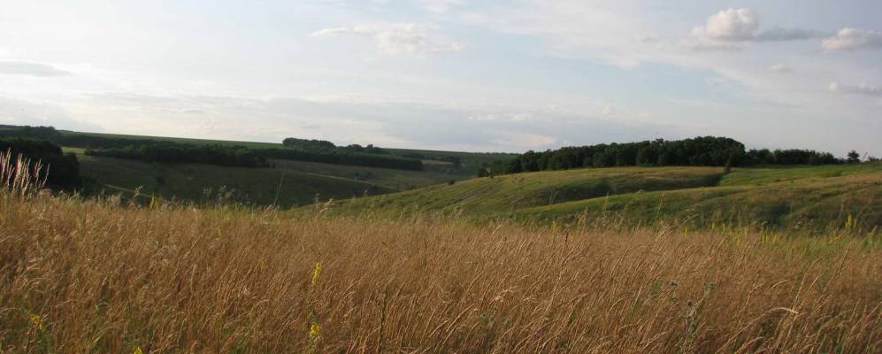 Фотография Березова