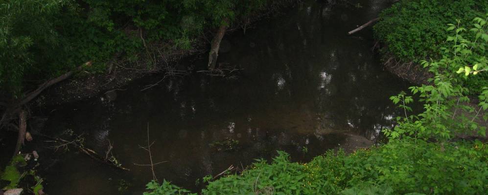 
            Фотография Пановки