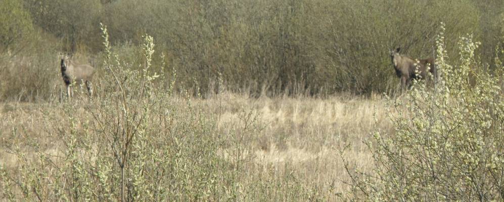 
            Фотография Мирогощи