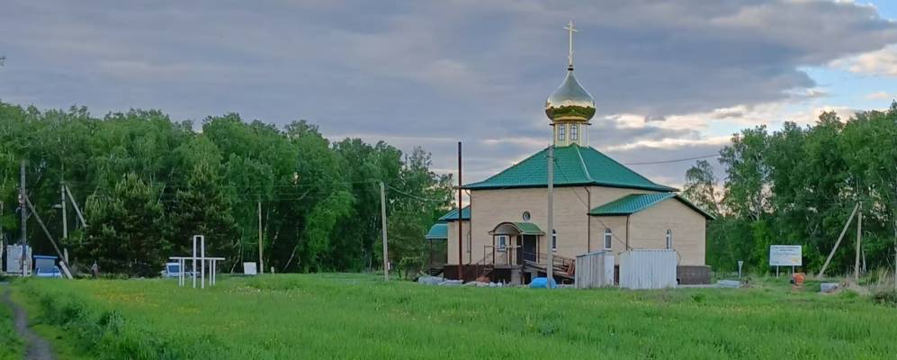 
            Фотография Хвойного