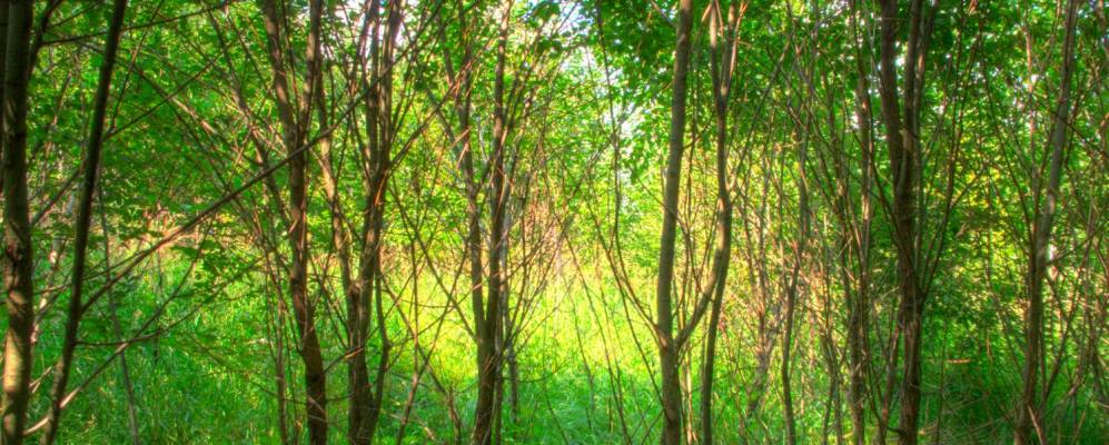 
            Фотография Хлопово