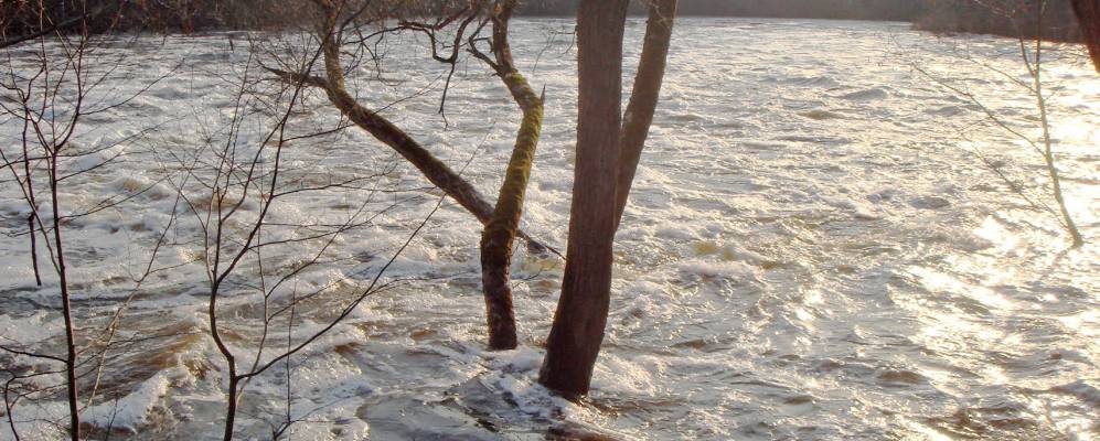 
            Фотография деревни Ржавки