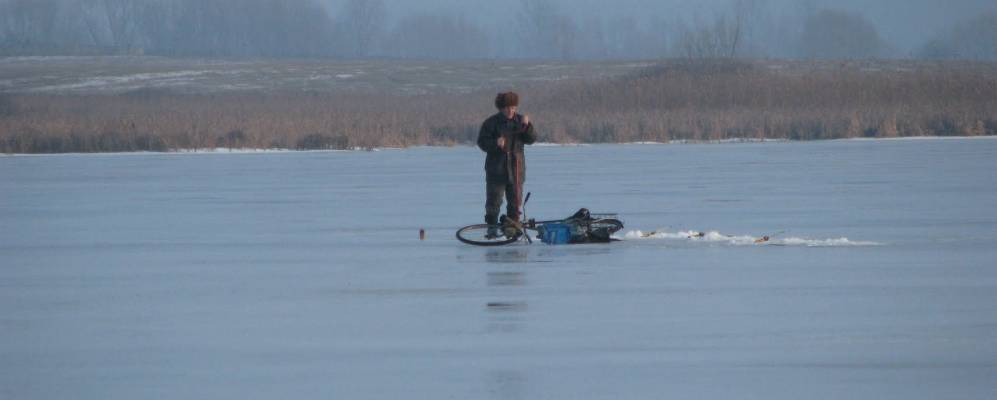 
            Фотография Некрасово