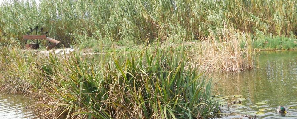 
            Фотография Сальта