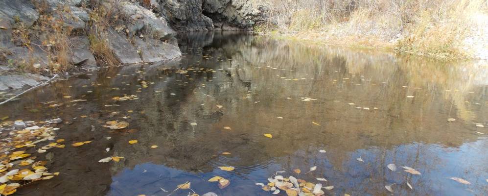 
            Фотография Калиновки