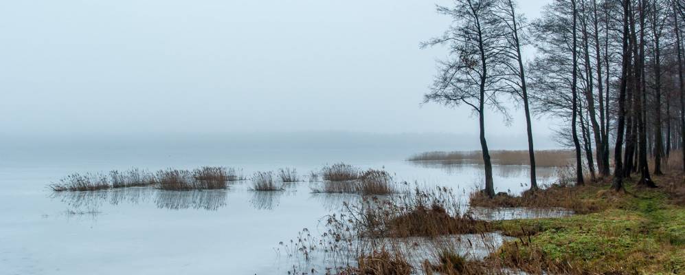 Фотография Орлово