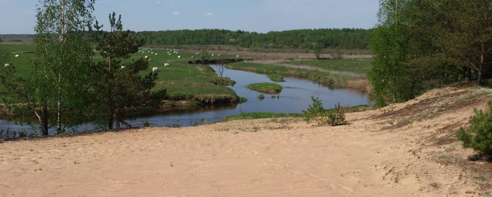 
            Фотография Крайнего