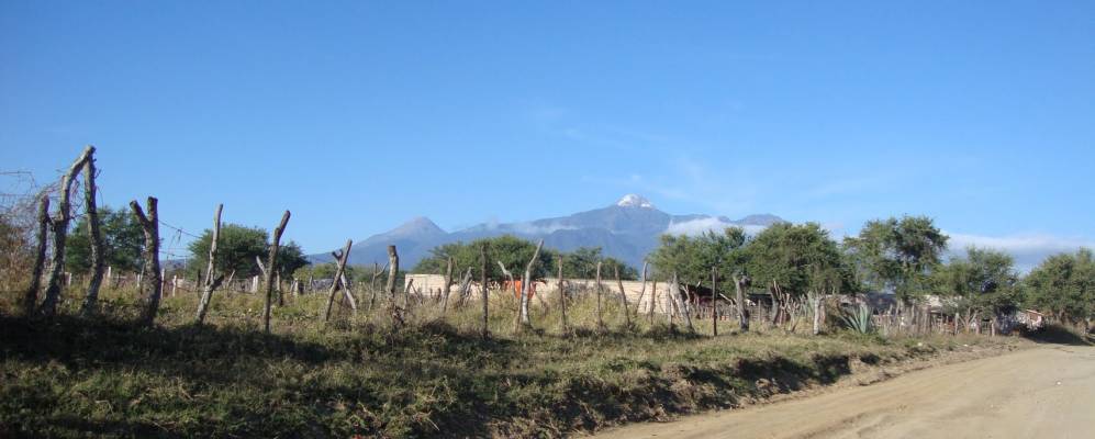 
            Фотография Сапотильтика