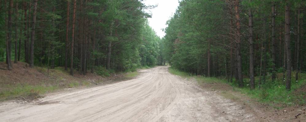 
            Фотография Госконюшни