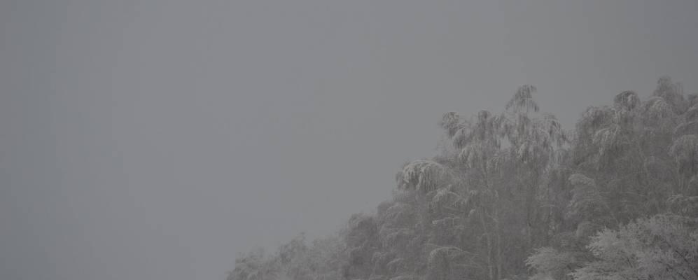 
            Фотография Перовки