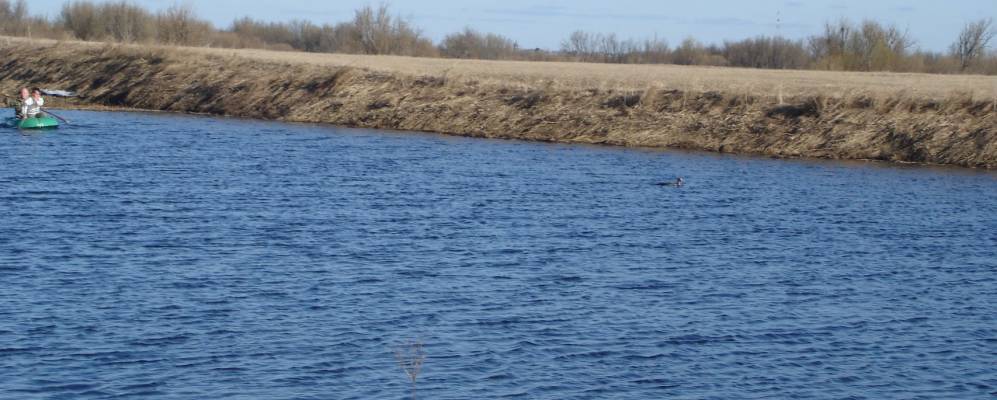 
            Фотография Кузьминской