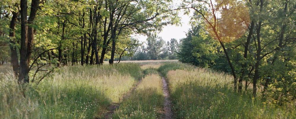 
            Фотография Егорина