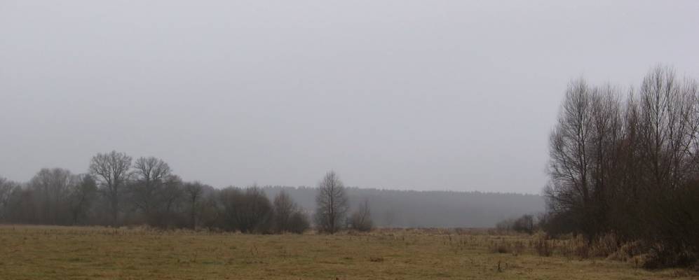 
            Фотография Макалевичей