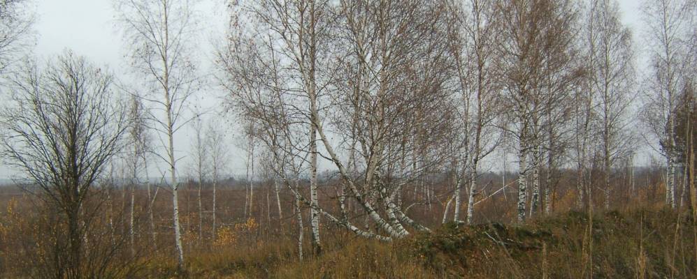 
            Фотография Долгово