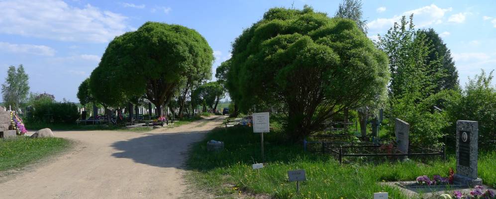 Фотография деревни Евличи