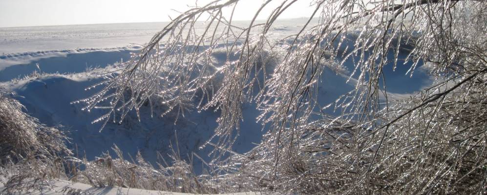 
            Фотография Шумовского