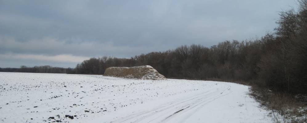 
            Фотография Рогового