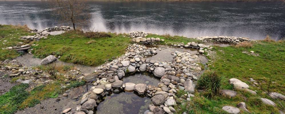 
            Фотография Медолаго