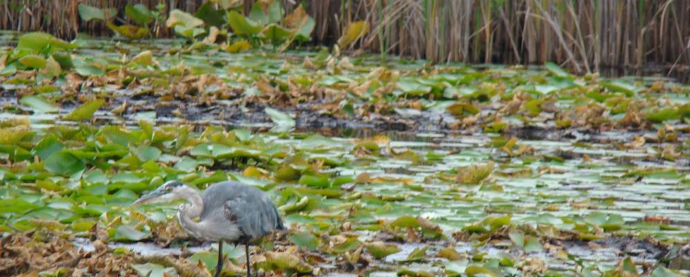 
            Фотография Сиракузы